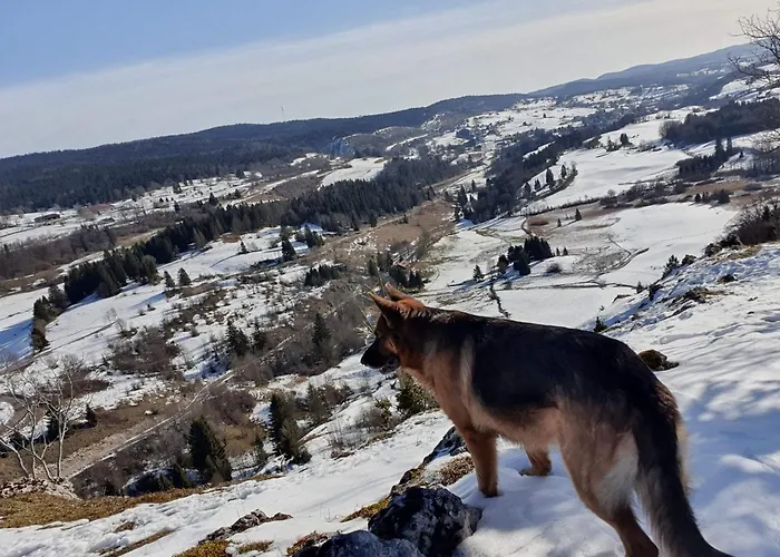 La Petite Fille Des Rivieres